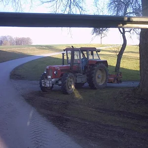 IHC 955
