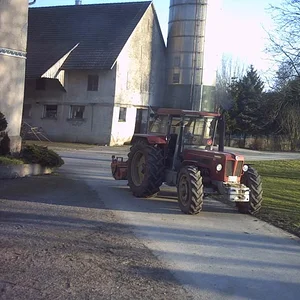 IHC 955