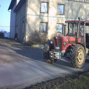 IHC 955