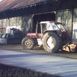 IHC 955