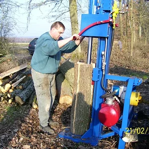 Case833a