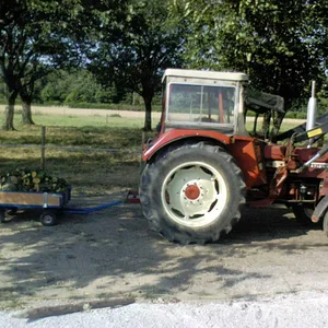 SebastianD439