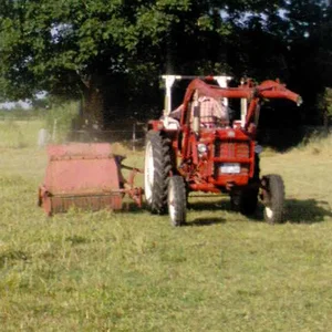 SebastianD439