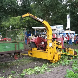 da die anderen Fotos weg sind