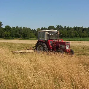 633fritz