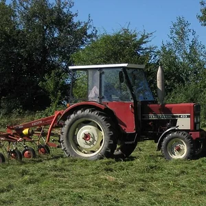 Inglorion439