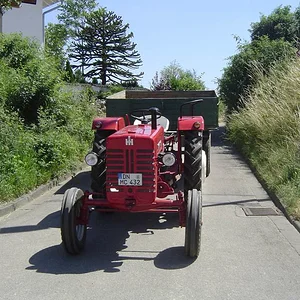 BastianD432