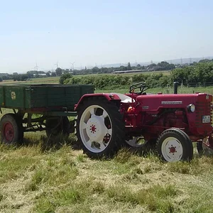 BastianD432