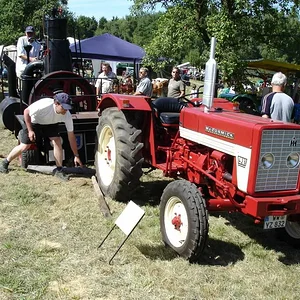 Matthias-IH353