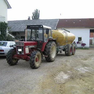 Bernhard