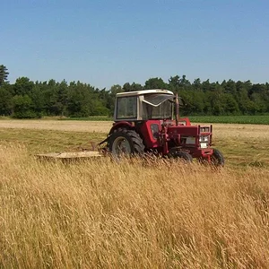 633fritz