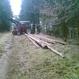 633A Bei der Holzarbeit