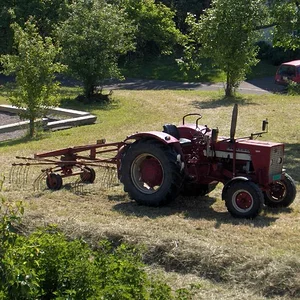 624Beni