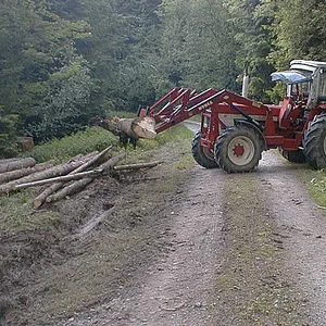Holzfäller