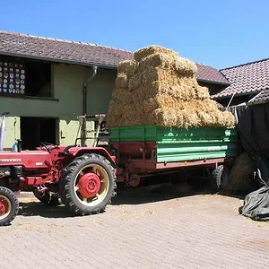 McCormick D-439