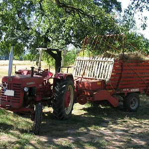 McCormick D-439