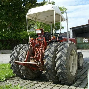 Schorsch