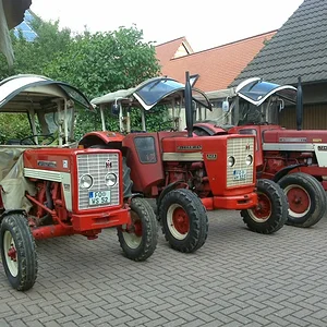 IHC 523