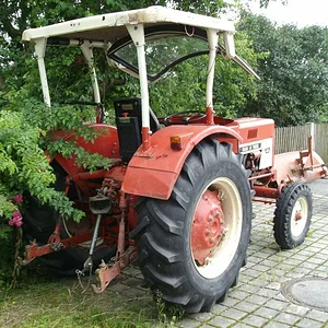 Schorsch