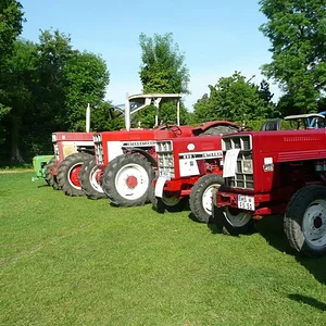 Wolli 633 E