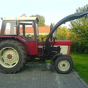 Heizzermuecke