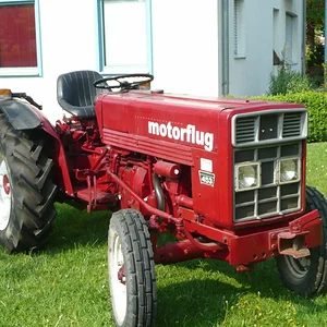 Wolli 633 E