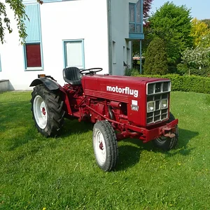 Wolli 633 E
