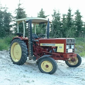 IHC 423