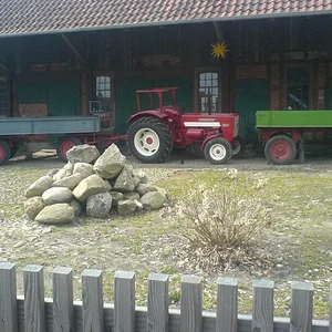 HeizzerMuecke