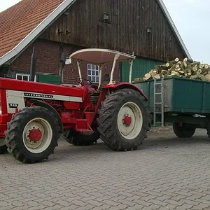Mit meinem 946 im holz