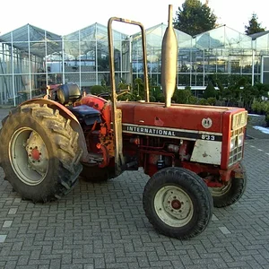 Tim Bollwerk
