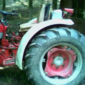 Matthias-IH353