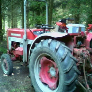 Matthias-IH353