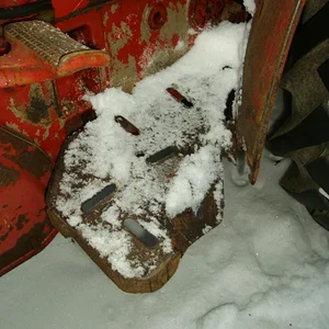 Schorsch