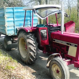 IHC 744