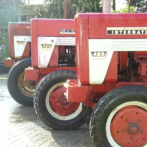 Tim Bollwerk