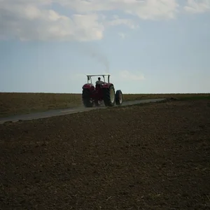 IHC 654 AS