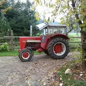 IHC 523