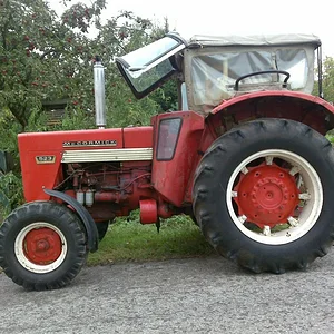 IHC 523