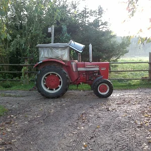 IHC 523