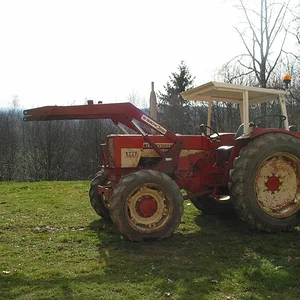 cedrick
