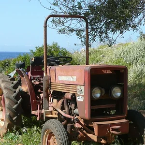 wolli633e