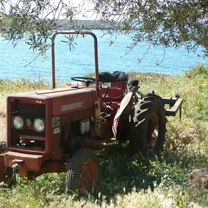 wolli633e