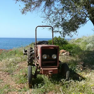wolli633e