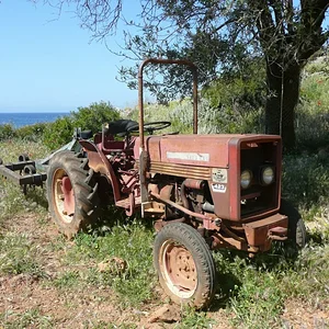 wolli633e