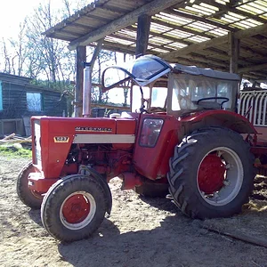 IHC 523