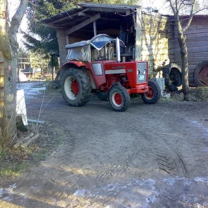IHC 523