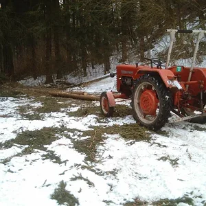 Waldarbeit