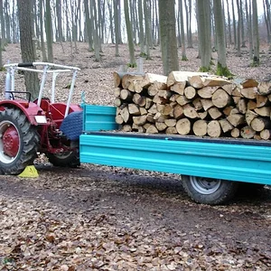 Matthias-IH353