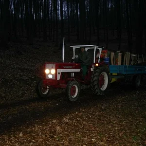Matthias-IH353